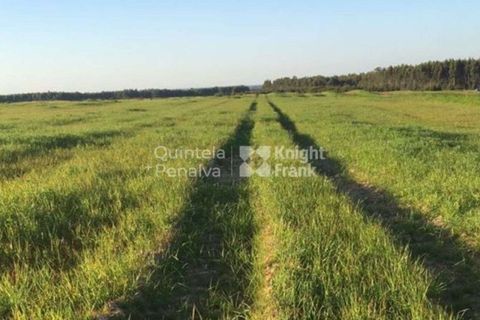 Landejendom i Odemira, Beja, Odemira - € 2.995.000 | Ref: PROP-34236 - foto 15