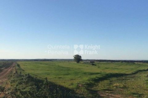 Landejendom i Odemira, Beja, Odemira - € 2.995.000 | Ref: PROP-34236 - foto 16