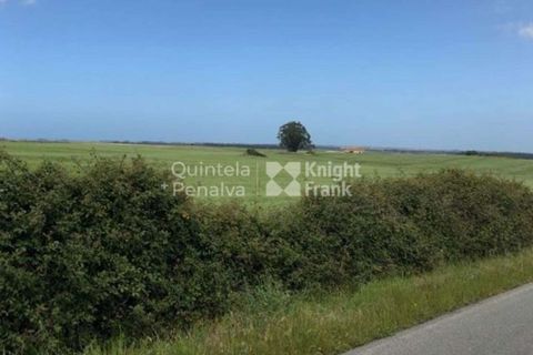 Landejendom i Odemira, Beja, Odemira - € 2.995.000 | Ref: PROP-34236 - foto 17