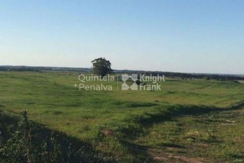 Landejendom i Odemira, Beja, Odemira - € 2.995.000 | Ref: PROP-34236 - foto 18