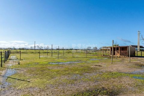 Villa i Montijo, Setubal, Montijo - € 1.035.000 | Ref: PROP-34108 - foto 23