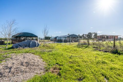 Villa i Montijo, Setubal, Montijo - € 1.035.000 | Ref: PROP-34108 - foto 24