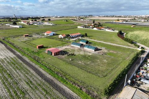 Villa i Montijo, Setubal, Montijo - € 1.035.000 | Ref: PROP-34108 - foto 1