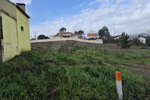 Helårsgrund i Ponte de Lima, Viana do Castelo, Ponte de Lima - € 58.500 | Ref: MDS4213 - foto 5
