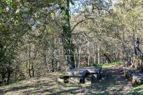 Villa i Arouca, Aveiro, Arouca - € 1.200.000 | Ref: LS05545 - foto 18
