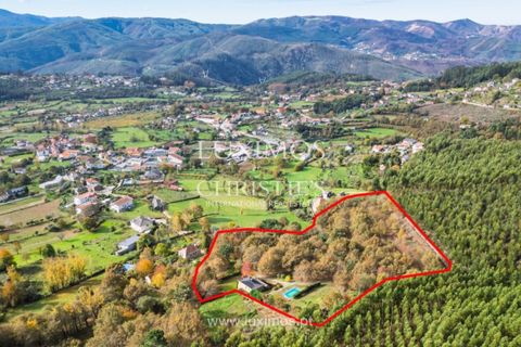 Villa i Arouca, Aveiro, Arouca - € 1.200.000 | Ref: LS05545 - foto 24