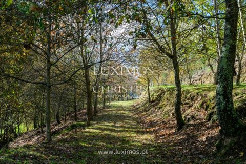Villa i Arouca, Aveiro, Arouca - € 1.200.000 | Ref: LS05545 - foto 29