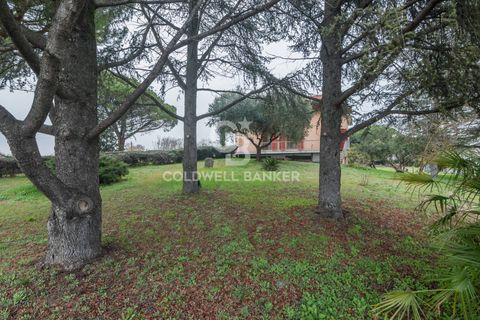 Villa i Santarcangelo Di Romagna, Rimini, Santarcangelo Di Romagna - € 360.000 | Ref: CBI099-1008-520775 - foto 41