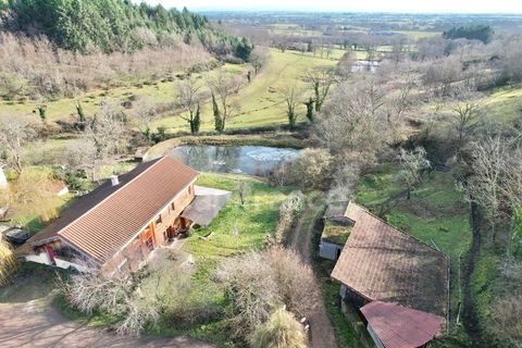 Landejendom i Renaison, Loire, Renaison - € 445.000 | Ref: 340931352565 - foto 4