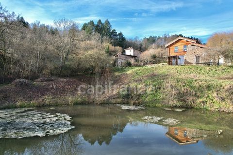 Landejendom i Renaison, Loire, Renaison - € 445.000 | Ref: 340931352565 - foto 5