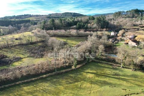 Landejendom i Renaison, Loire, Renaison - € 445.000 | Ref: 340931352565 - foto 19