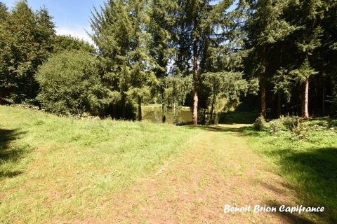 Villa i Saint-James, Manche, Saint-James - € 435.000 | Ref: 340936044841 - foto 25