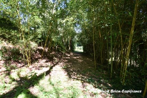 Villa i Saint-James, Manche, Saint-James - € 435.000 | Ref: 340936044841 - foto 29