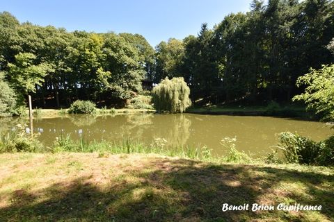 Villa i Saint-James, Manche, Saint-James - € 435.000 | Ref: 340936044841 - foto 30