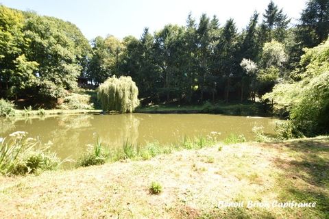 Villa i Saint-James, Manche, Saint-James - € 435.000 | Ref: 340936044841 - foto 33