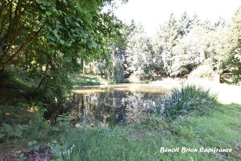 Villa i Saint-James, Manche, Saint-James - € 435.000 | Ref: 340936044841 - foto 37