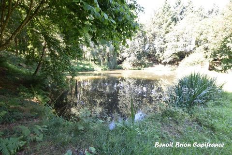 Villa i Saint-James, Manche, Saint-James - € 435.000 | Ref: 340936044841 - foto 39
