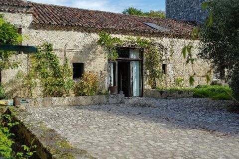 Villa i Nerac, Lot-et-Garonne, Nerac - € 1.325.000 | Ref: F1FC1A3D382E4280 - foto 2