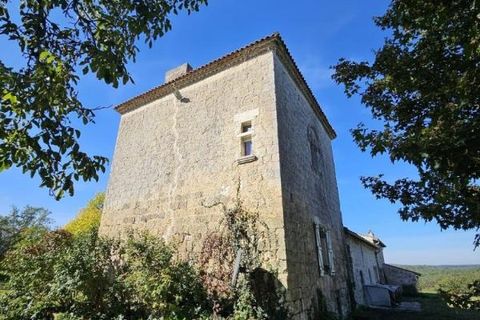 Villa i Nerac, Lot-et-Garonne, Nerac - € 1.325.000 | Ref: F1FC1A3D382E4280 - foto 3