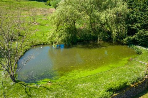Villa a Argentat, Correze, Argentat - € 290.000 | Ref: 2BC61341B8754B0A - foto 8