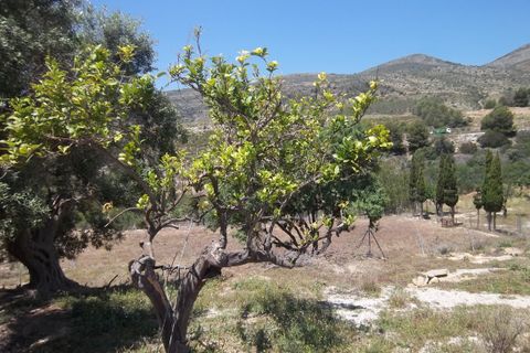 Helårsgrund i Benissa, Alicante, Benissa - € 242.000 | Ref: SLV19-6981Z - foto 16