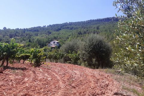 Villa i Pradell, Tarragona, Pradell - € 145 000 | Ref: S-1495962 - foto 2