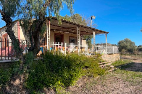 Finca i Aspe, Alicante, Aspe - € 215.000 | Ref: MCO-33072 - foto 4