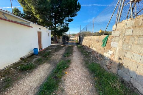 Finca i Aspe, Alicante, Aspe - € 215.000 | Ref: MCO-33072 - foto 13