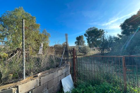 Finca i Aspe, Alicante, Aspe - € 215.000 | Ref: MCO-33072 - foto 17