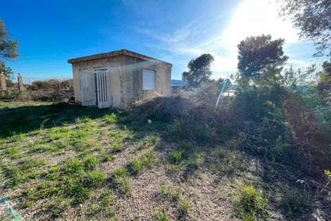 Finca i Aspe, Alicante, Aspe - € 215.000 | Ref: MCO-33072 - foto 18