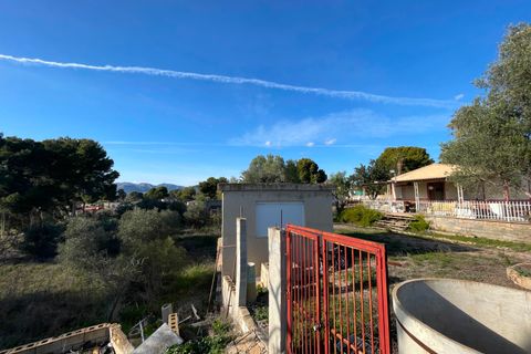 Finca i Aspe, Alicante, Aspe - € 215.000 | Ref: MCO-33072 - foto 22