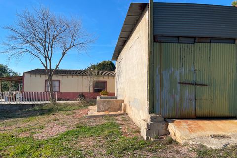 Finca i Aspe, Alicante, Aspe - € 215.000 | Ref: MCO-33072 - foto 26