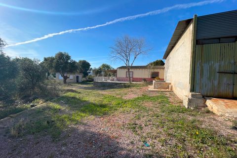 Finca i Aspe, Alicante, Aspe - € 215.000 | Ref: MCO-33072 - foto 27