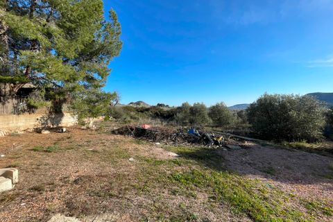 Finca i Aspe, Alicante, Aspe - € 215.000 | Ref: MCO-33072 - foto 44