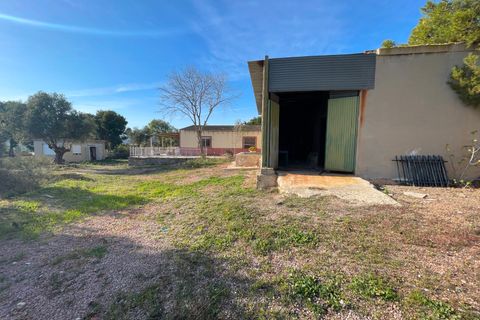 Finca i Aspe, Alicante, Aspe - € 215.000 | Ref: MCO-33072 - foto 47