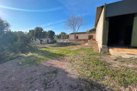 Finca i Aspe, Alicante, Aspe - € 215.000 | Ref: MCO-33072 - foto 49