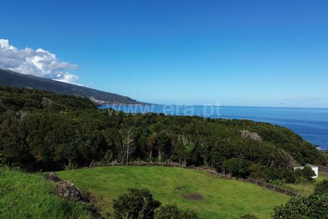 Villa i Sao Roque do Pico, Pico, Sao Roque do Pico - € 650.000 | Ref: 374250259 - foto 10