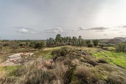 Villa i Fundao, Castelo Branco, Fundao - € 230.000 | Ref: 255250204 - foto 24