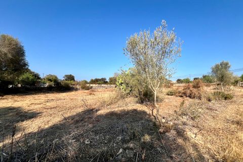 Villa a Costitx, Mallorca, Costitx - € 175.000 | Ref: 2196 - foto 6