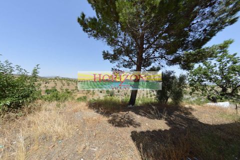 Villa a Velez-Rubio, Almeria, Velez-Rubio - € 60.000 | Ref: 68127 - foto 7