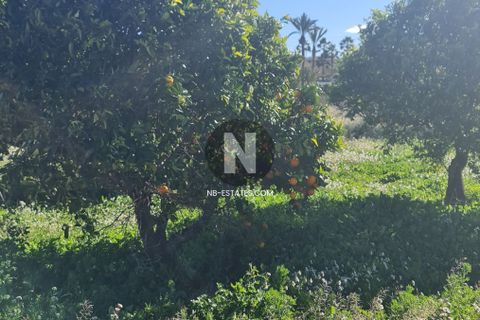 Villa i Teulada, Alicante, Teulada - € 595 000 | Ref: 6496 - foto 12