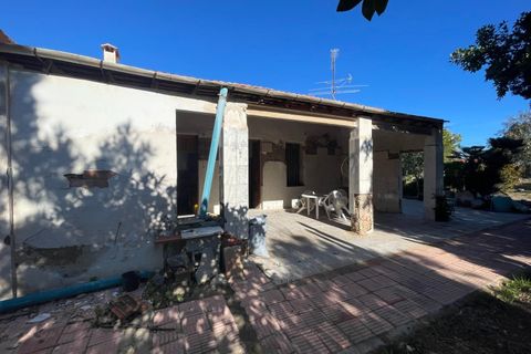 Landejendom i Elche, Alicante, Elche - € 280.000 | Ref: AG19MLSC1105602 - foto 2