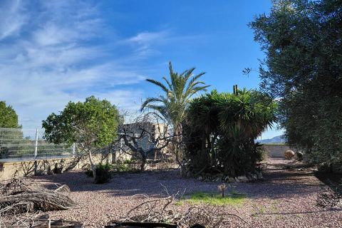 Finca i La Murada, Alicante, La Murada - € 350.000 | Ref: MPD434 - foto 10