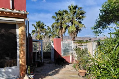 Finca i La Murada, Alicante, La Murada - € 350.000 | Ref: MPD434 - foto 11