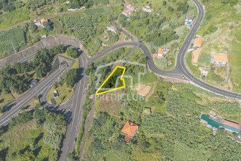 Terra a Machico, Madeira, Machico - € 60.000 | Ref: 11969-2-JF - foto 3