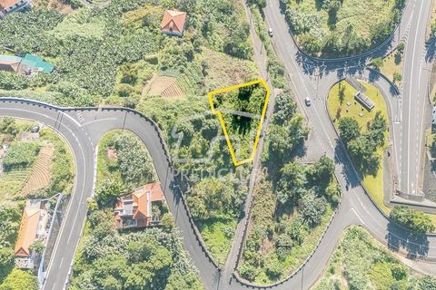 Terra a Machico, Madeira, Machico - € 60.000 | Ref: 11969-2-JF - foto 4