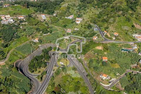 Terra a Machico, Madeira, Machico - € 60.000 | Ref: 11969-2-JF - foto 5