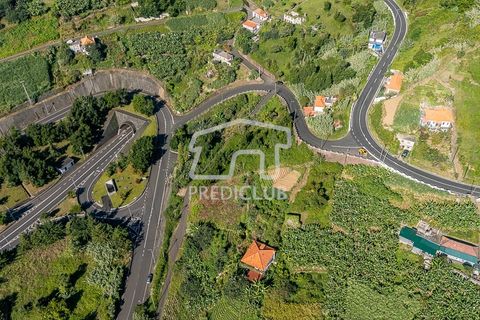 Terra a Machico, Madeira, Machico - € 60.000 | Ref: 11969-2-JF - foto 6