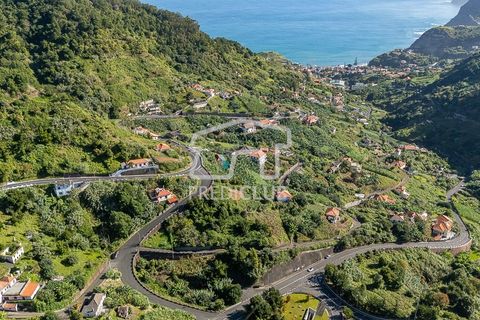 Terra a Machico, Madeira, Machico - € 60.000 | Ref: 11969-2-JF - foto 7