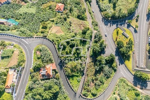 Terra a Machico, Madeira, Machico - € 60.000 | Ref: 11969-2-JF - foto 9